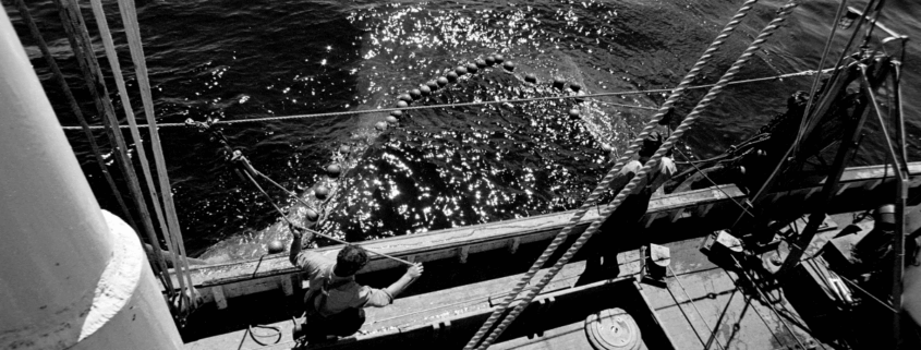 Admiralty Law Protections for Seamen Exposed to Hazardous Cargo