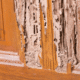 How Sellers Conceal Termite Damage in a Mississippi Home Sale, And How Courts See It