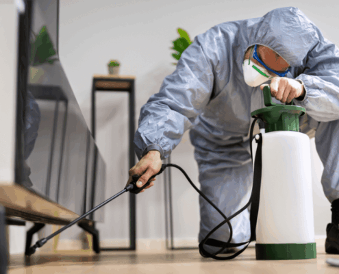 The Future of Termite Treatment and Its Impact on Litigation