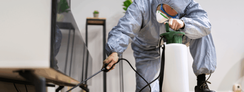 The Future of Termite Treatment and Its Impact on Litigation