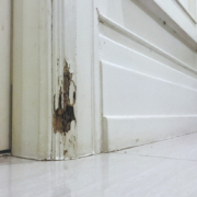 Can You Break a Lease Because of Termites in Mississippi?